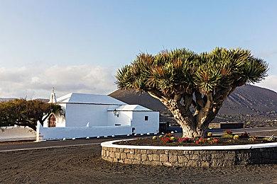 《碧奇公主表演时刻》视频展示各种变身形态