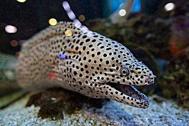 《永劫无间》手游宣布4月1日开启测试 愚人节不愚人